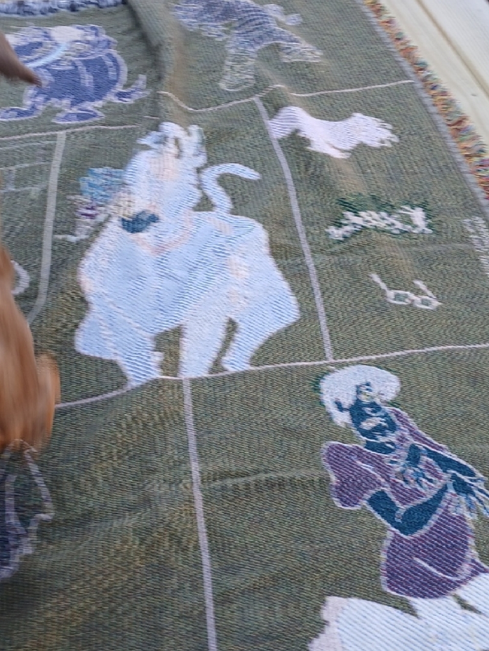 Scooby-Doo Graphic Throw Blanket - Brown & White - Picture 9 of 13